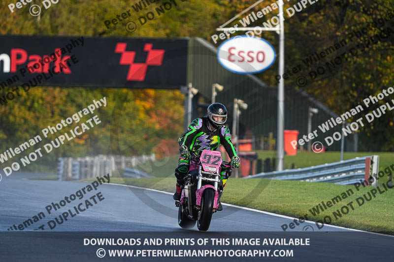 anglesey;brands hatch;cadwell park;croft;donington park;enduro digital images;event digital images;eventdigitalimages;mallory;no limits;oulton park;peter wileman photography;racing digital images;silverstone;snetterton;trackday digital images;trackday photos;vmcc banbury run;welsh 2 day enduro